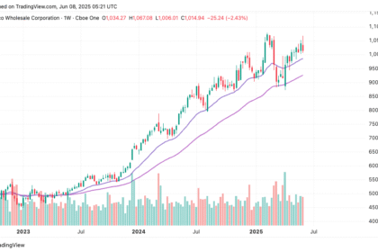 Costco stock analysis, COST stock price, $1,000 support level, long-term stock investment, technical analysis Costco, fundamental analysis Costco.